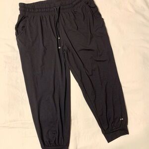 Zuda Jogger Pants. Ladies Medium